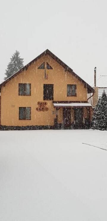 Фото номера Вилла Виллы Casa de Oaspeti la Bilbor г. Bilbor 49