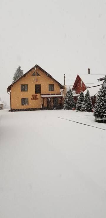 Фото номера Вилла Виллы Casa de Oaspeti la Bilbor г. Bilbor 50