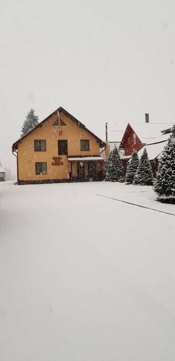 Фото номера Вилла Виллы Casa de Oaspeti la Bilbor г. Bilbor 12